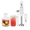 RAF 300W Multi-Function Blender