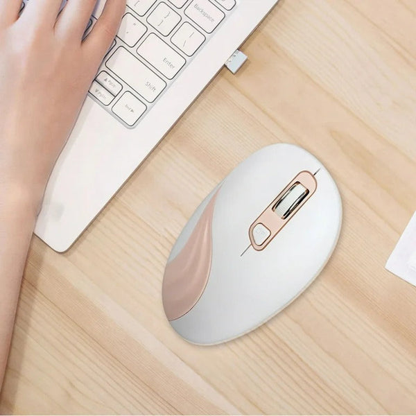 2.4G USB Wireless Optical Ergonomic Mouse - Mega Cart