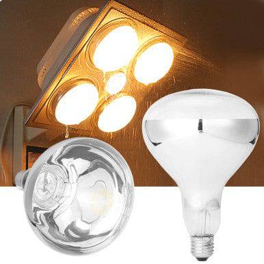 Bathroom Infrared Heating Lamp 4 Bulb With Base - Instant Warmth & Durability - Mega Cart