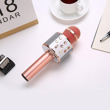 Bluetooth Wireless Karaoke Microphone with HiFi Speaker - Mega Cart