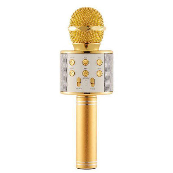Bluetooth Wireless Karaoke Microphone with HiFi Speaker - Mega Cart