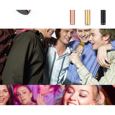 Bluetooth Wireless Karaoke Microphone with HiFi Speaker - Mega Cart