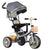 Convertible 3-in-1 Stroller and Trike for Kids - Mega Cart