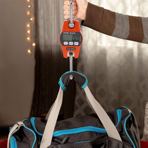Digital Mini Hanging Scale - Mega Cart
