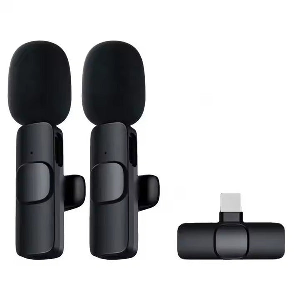 Mini Dual Portable Wireless Microphone