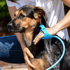 Pet Bathing Tool - Mega Cart
