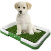 Puppy Potty Training Pad