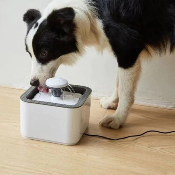USB Powered Pet Water Fountain - Mega Cart