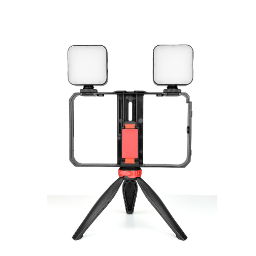 Video Making Kit with 2 LED Fill Light - Mega Cart