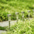 10 Pcs Outdoor Stainless Steel Solar Lights - Mega Cart