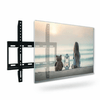 26"-63" Slimline Flat Panel TV Mount - Mega Cart