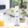 260W Portable Smoothie Maker - Mega Cart