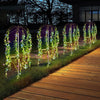 Vibrant 4-Piece Garden Solar Lights