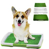 Puppy Potty Training Pad
