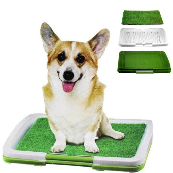 Puppy Potty Training Pad