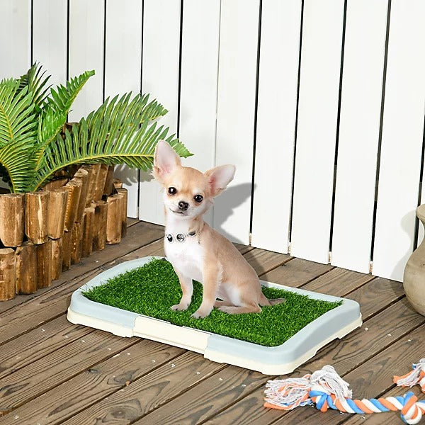 Puppy Potty Training Pad