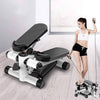 Total Body Climber & Stepper Workout Machine