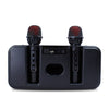 Bluetooth Karaoke Speaker with 2 Microphones - Mega Cart