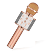 Bluetooth Wireless Karaoke Microphone with HiFi Speaker - Mega Cart