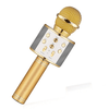 Bluetooth Wireless Karaoke Microphone with HiFi Speaker - Mega Cart