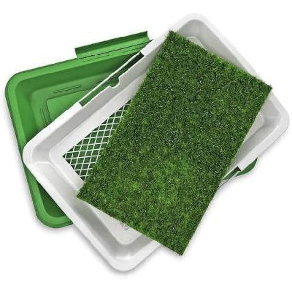 Puppy Potty Training Pad