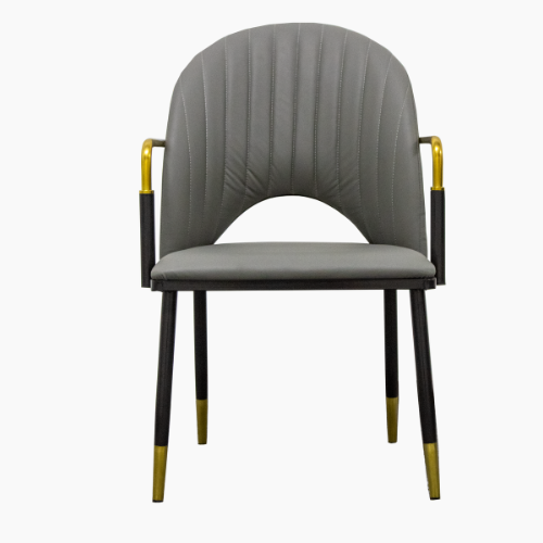 PrimeNest - Luxurious Hollow Design Dining Chair - Mega Cart