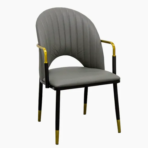 PrimeNest - Luxurious Hollow Design Dining Chair - Mega Cart