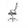 PrimeNest Set of 2Ergonomic Parker Office Chair - Modern, Adjustable, Lumbar Support - Mega Cart
