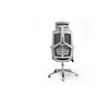 PrimeNest Set of 2Ergonomic Parker Office Chair - Modern, Adjustable, Lumbar Support - Mega Cart