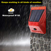 Solar Motion Sensor Alarm with Remote Control - Mega Cart