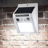 Solar Motion Sensor Light with Alarm - Outdoor Security Solution - Mega Cart