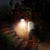 Solar-Powered Motion Sensor Wall Light for Outdoor Safety - Mega Cart