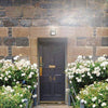 Solar-Powered Motion Sensor Wall Light for Outdoor Safety - Mega Cart