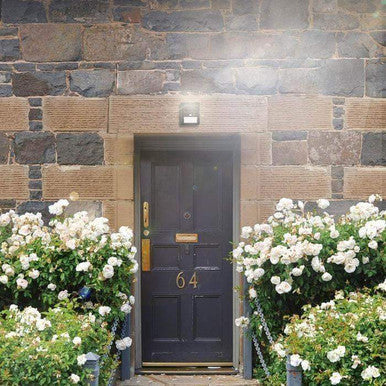 Solar-Powered Motion Sensor Wall Light for Outdoor Safety - Mega Cart