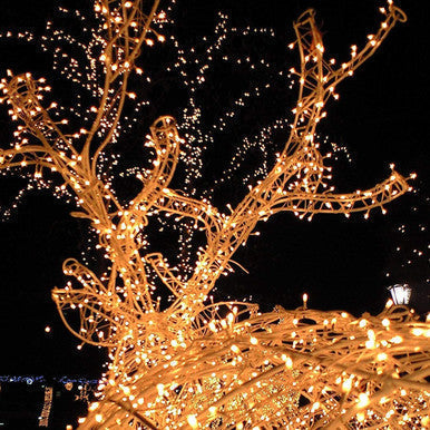 Solar-Powered Waterproof LED Fairy Lights for Garden & Patio - Mega Cart